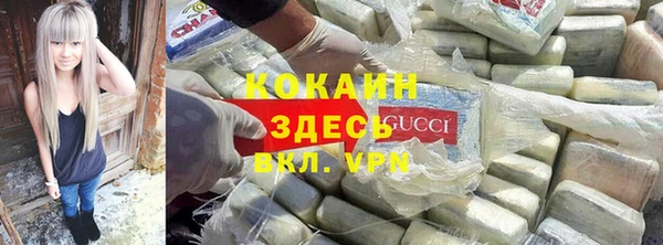 гидра Алексин