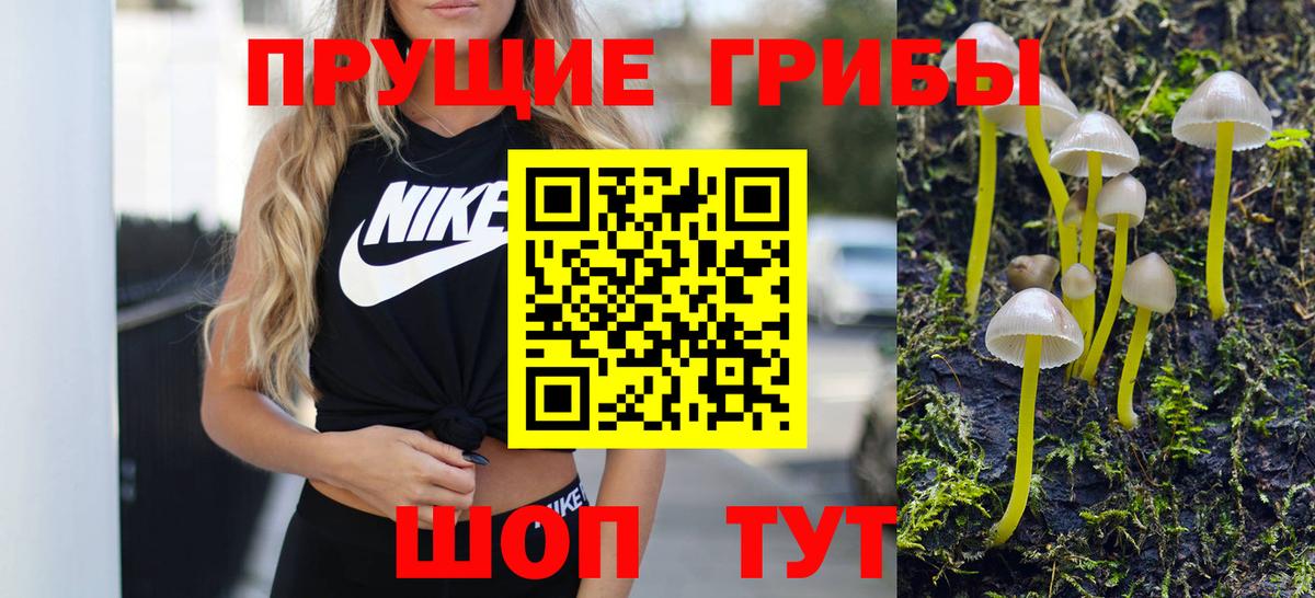 Старая Купавна  Галлюциногенные грибы Cubensis  Вход с VPN 