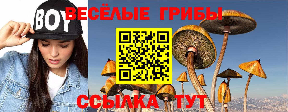 Галлюциногенные грибы ЛСД Старая Купавна