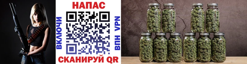 блэк спрут   где найти   Старая Купавна  дарк нет как зайти  МАРИХУАНА MAZAR 